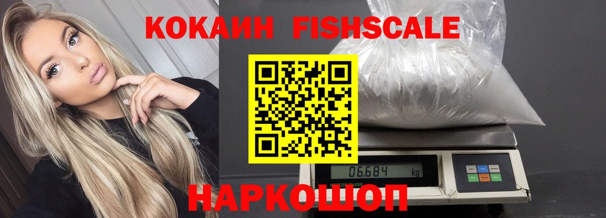 COCAIN Fish Scale Ульяновск