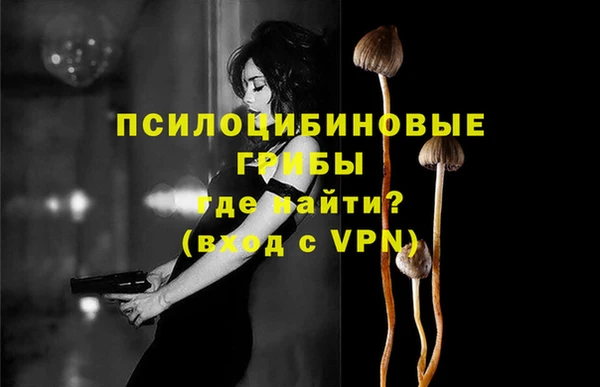 меф Арсеньев