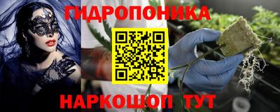 ПСИЛОЦИБИНОВЫЕ ГРИБЫ Новодвинск