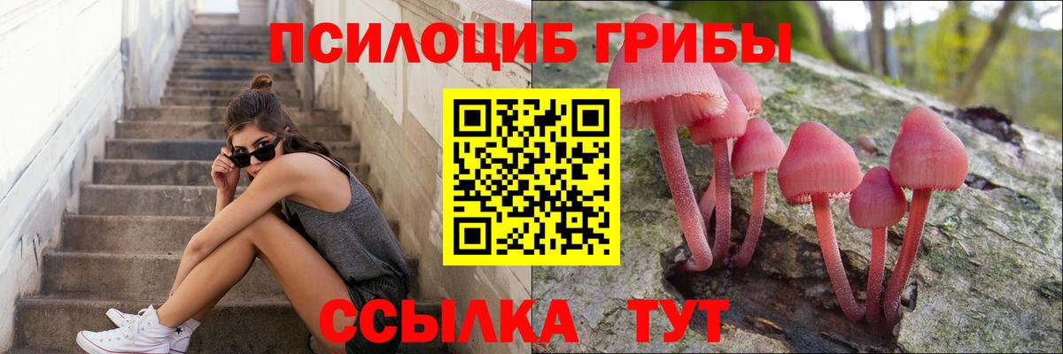 Галлюциногенные грибы прущие грибы  Псилоцибиновые грибы Psilocybe  Вход с VPN  Ульяновск 