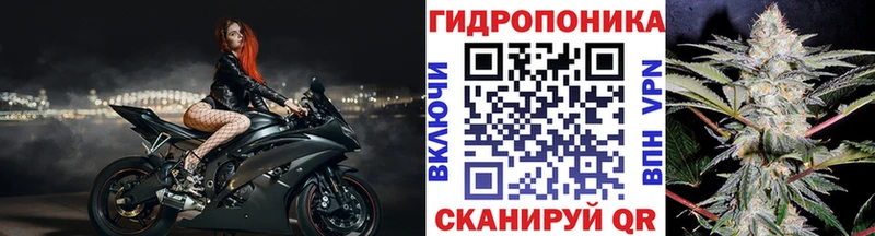 Бошки марихуана семена  наркошоп  Ульяновск 
